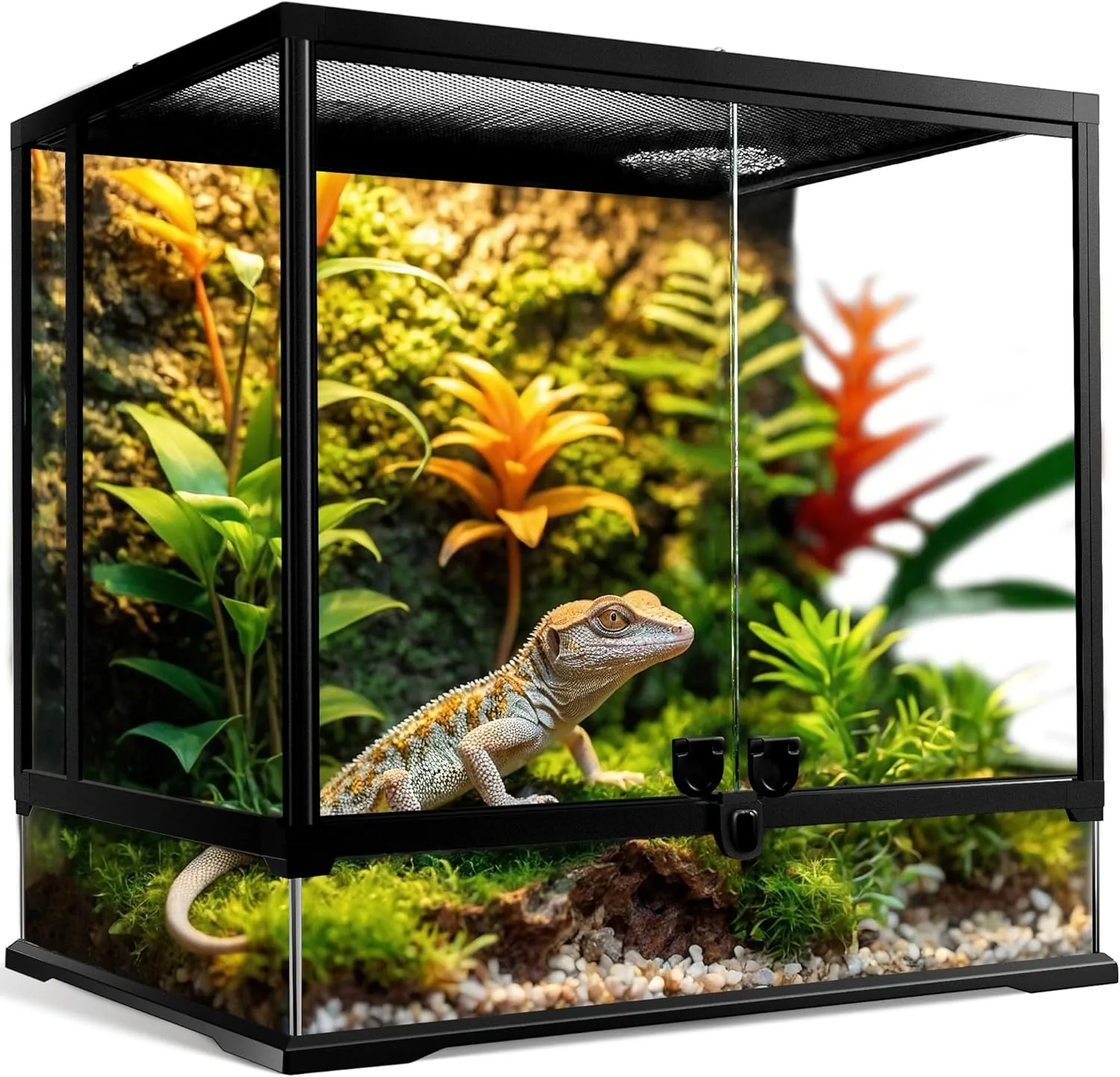 NEPTONION Glasterrarium — Produktempfehlung