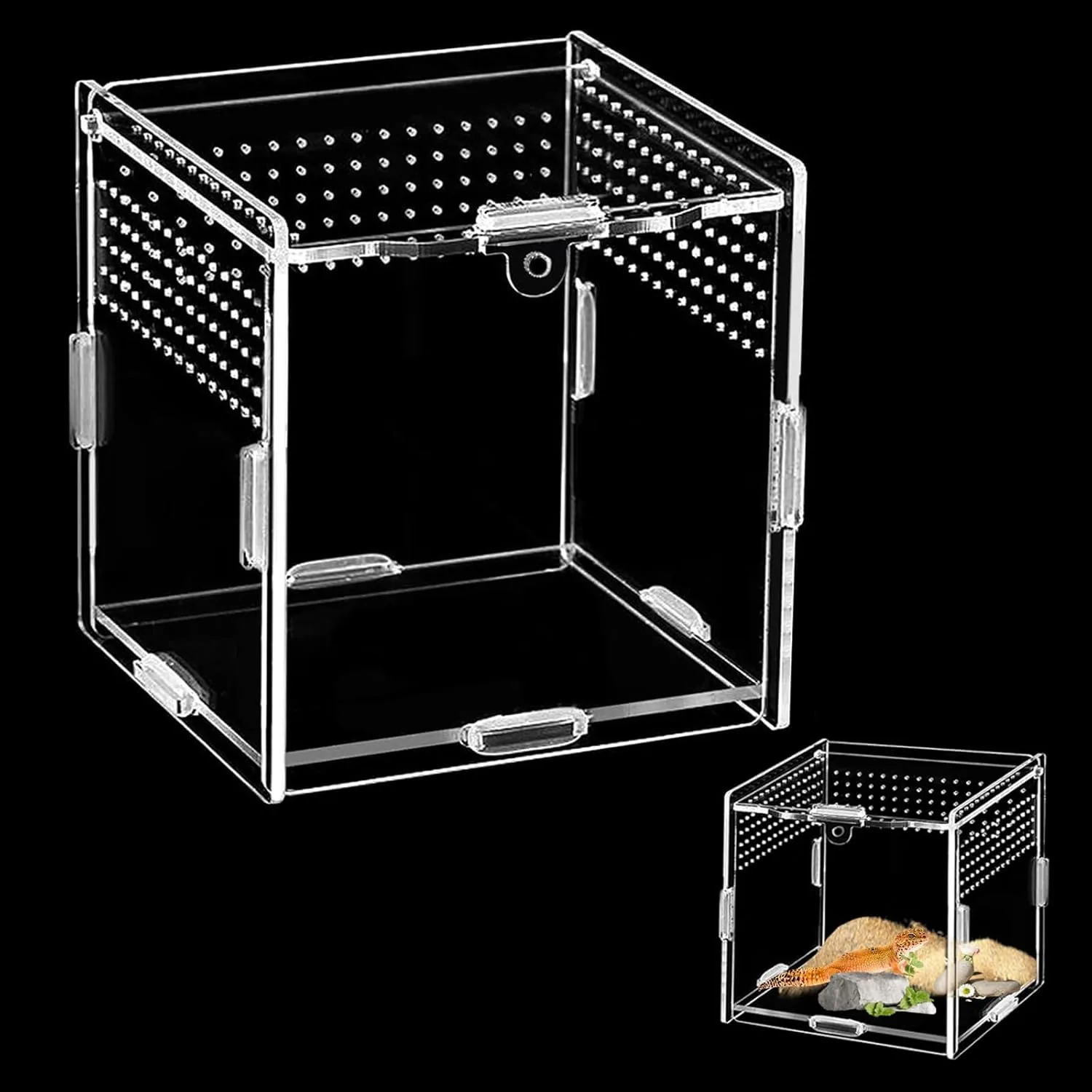 BUOSHUO Acryl-Terrarium