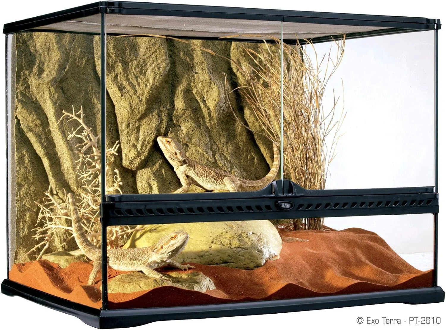 Exo Terra Terrarium, 60x45x45cm