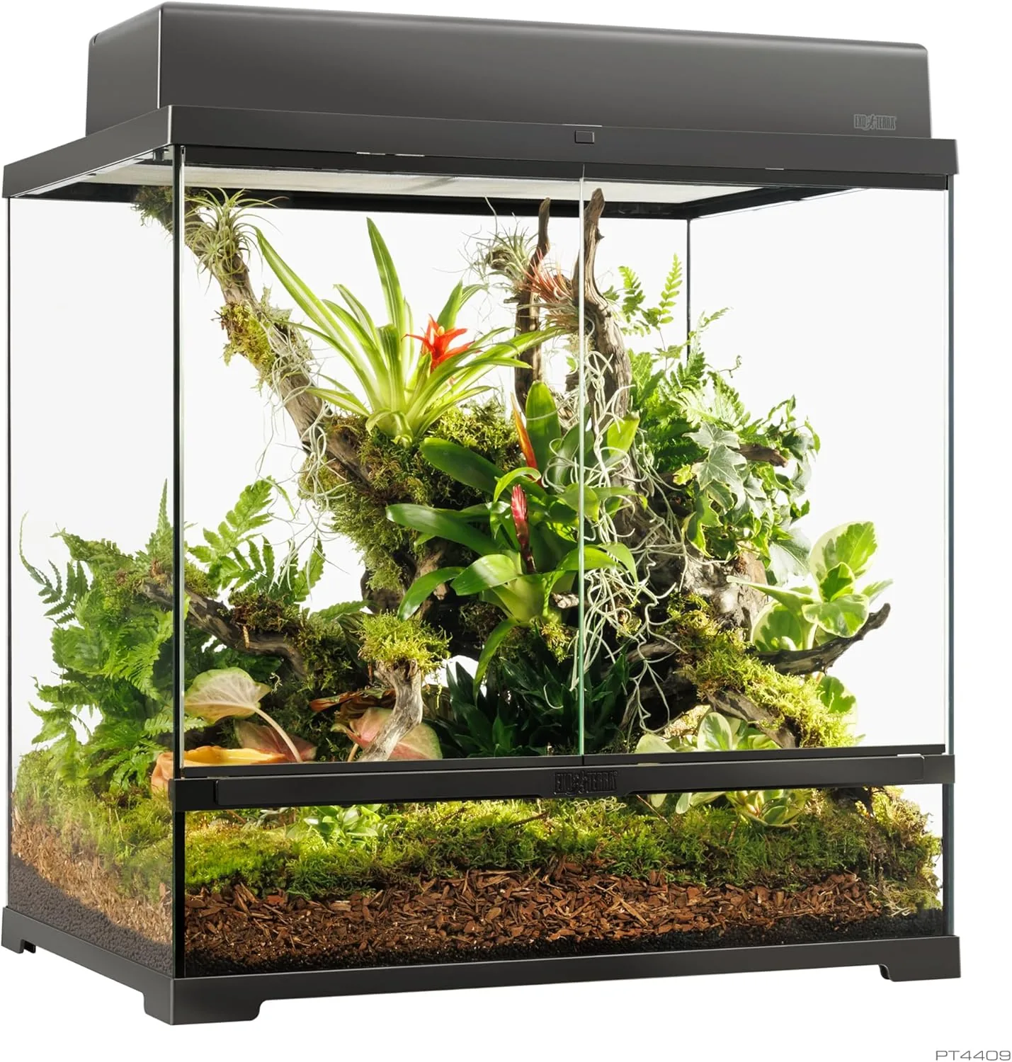 Exo Terrarium 60×45×60 cm — Produktempfehlung