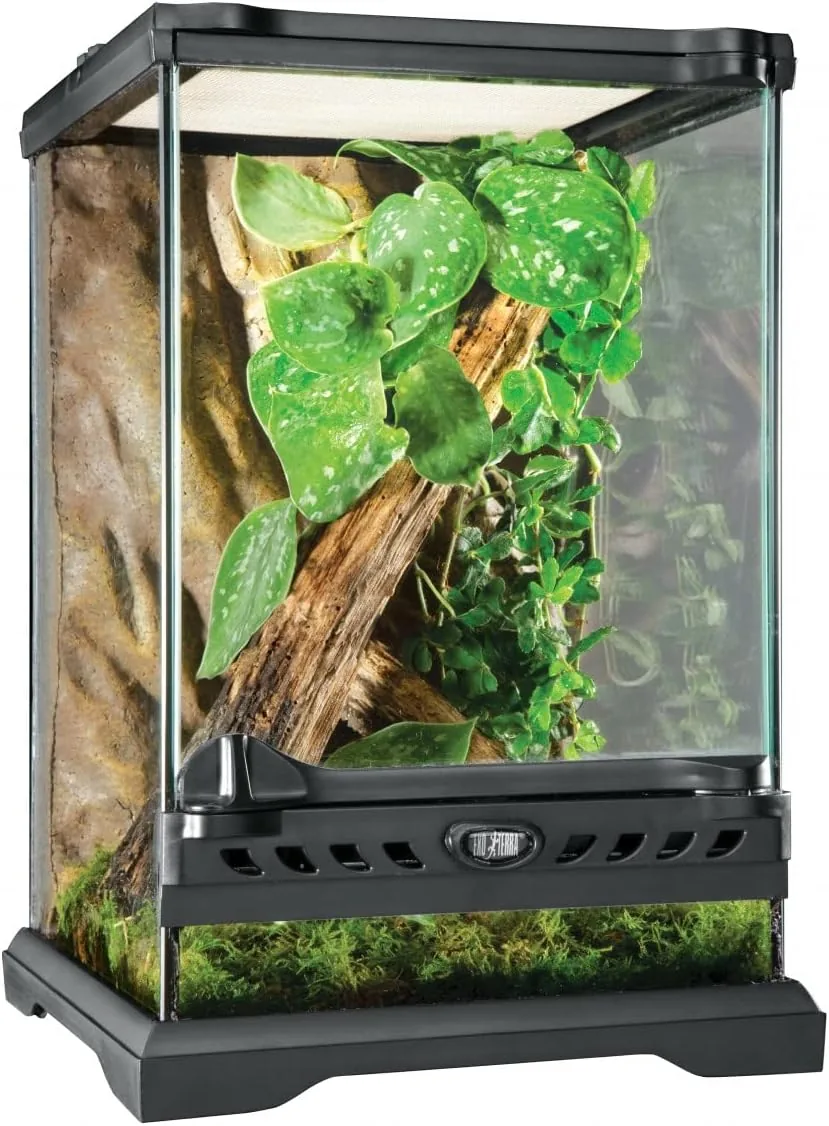Exo Terrarium aus Glas