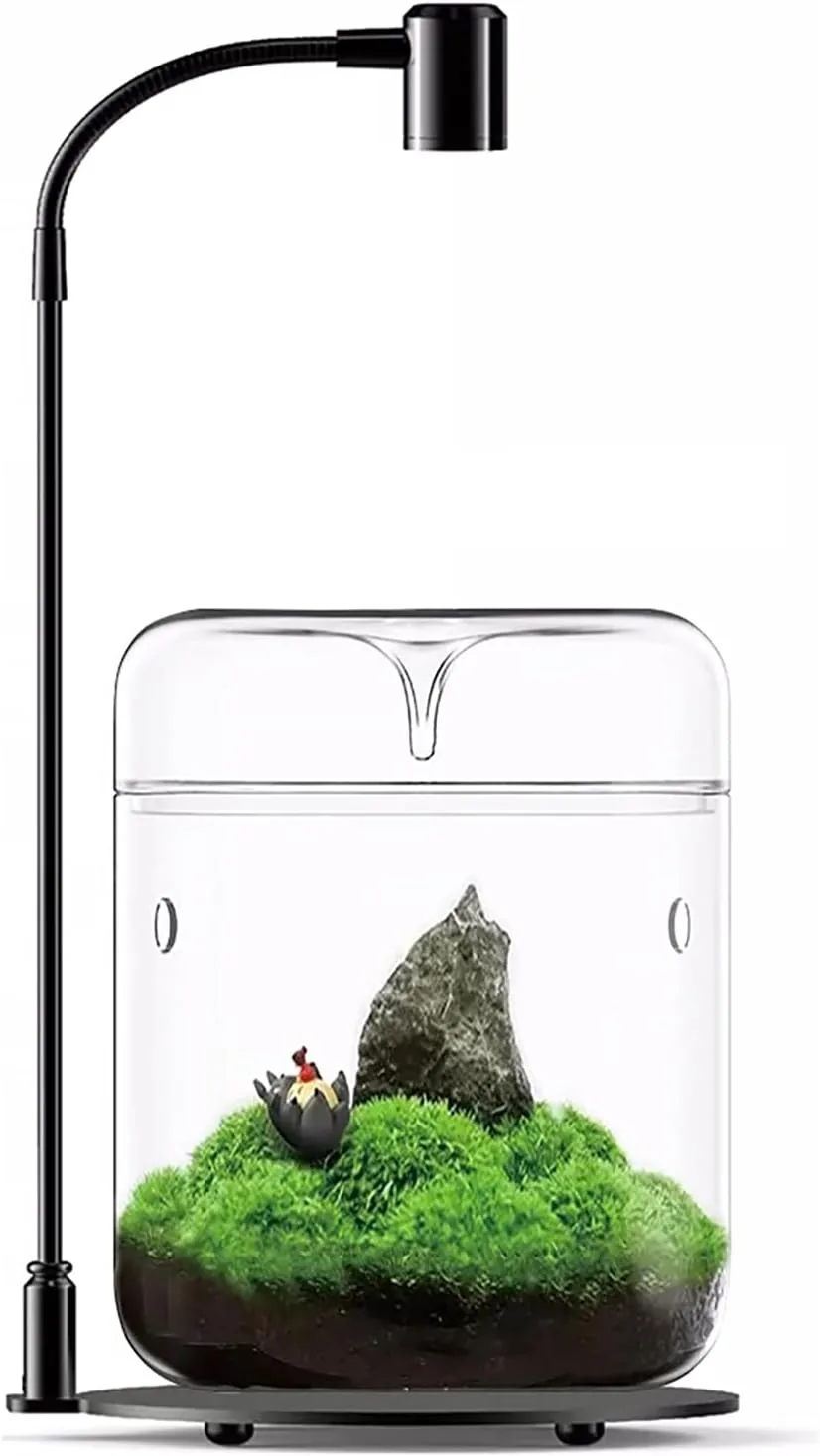 LingTing Glasterrarium