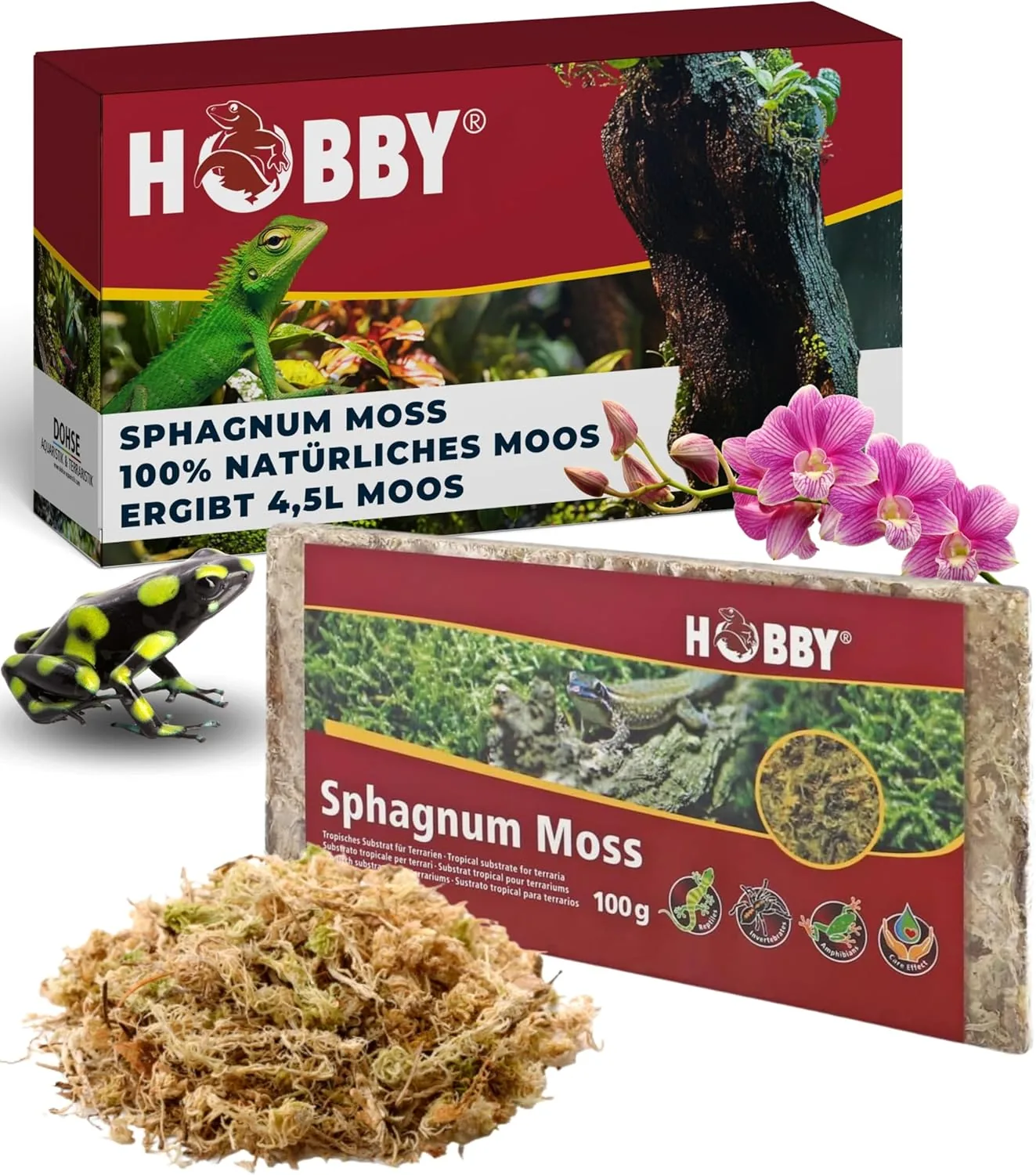 Hobby Terraristik Sphagnum Moss I 4
