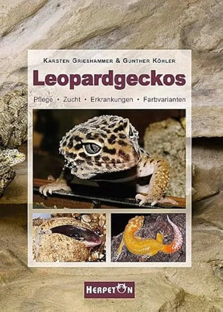 Leopardgeckos: Pflege, Zucht, Erkrankungen, Farbvarianten