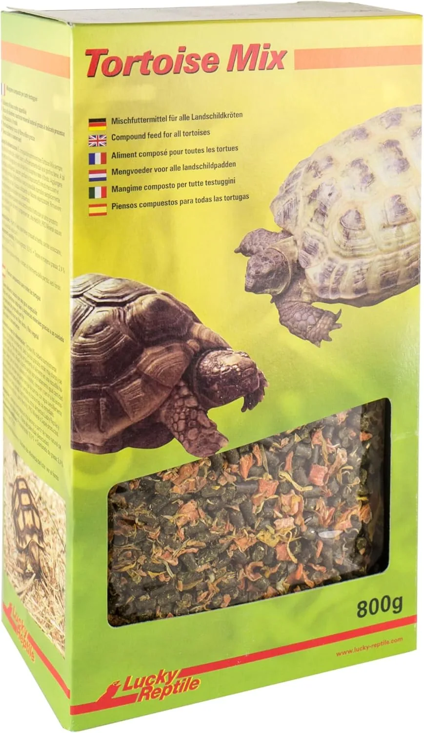 Lucky Reptile Tortoise Mix
