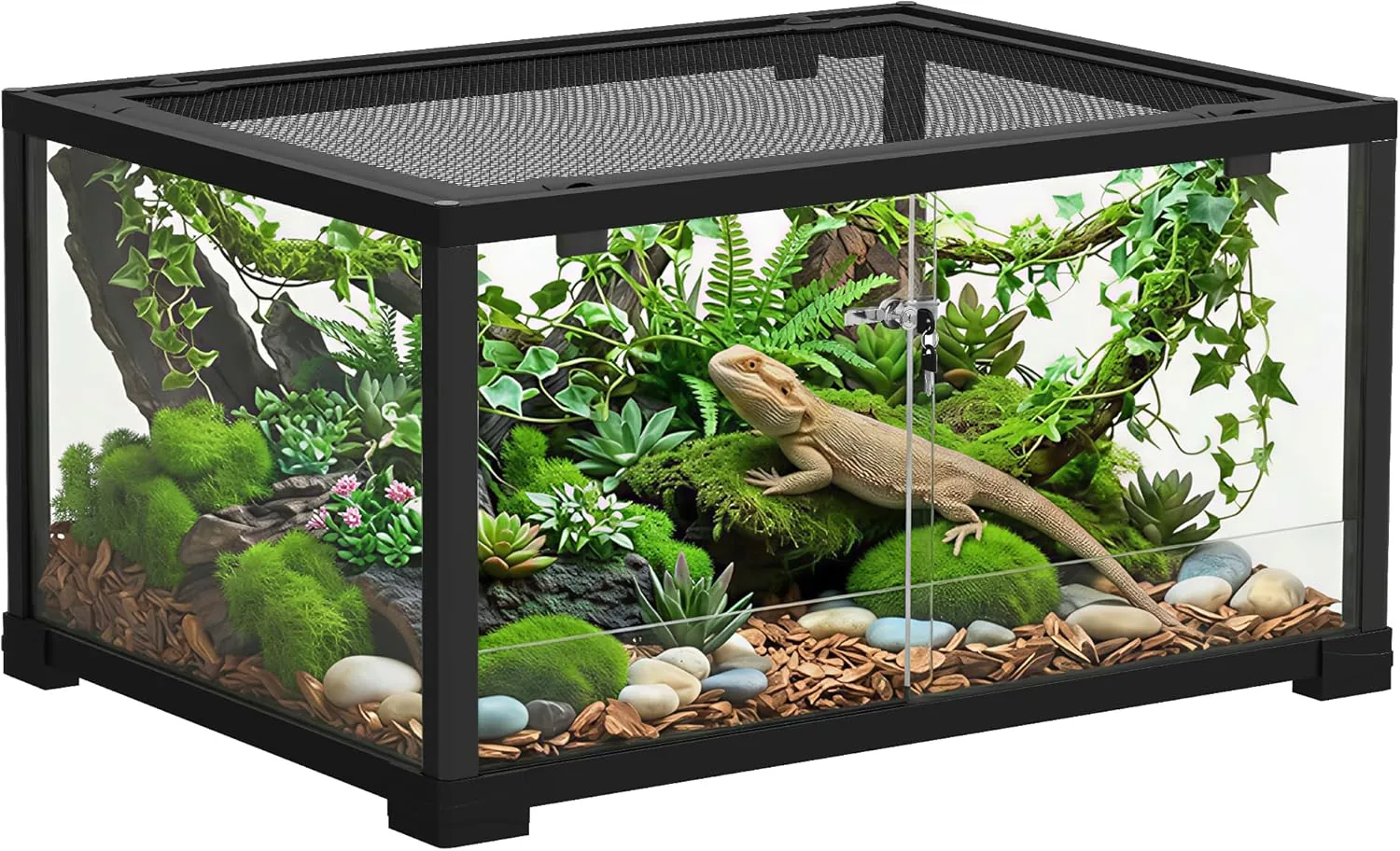 PawHut Glasterrarium 60×45×32 cm — Produktempfehlung