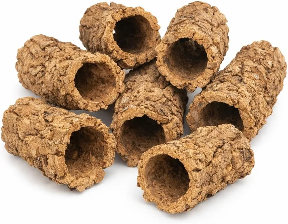 sphagnum-shop.com Terrarium