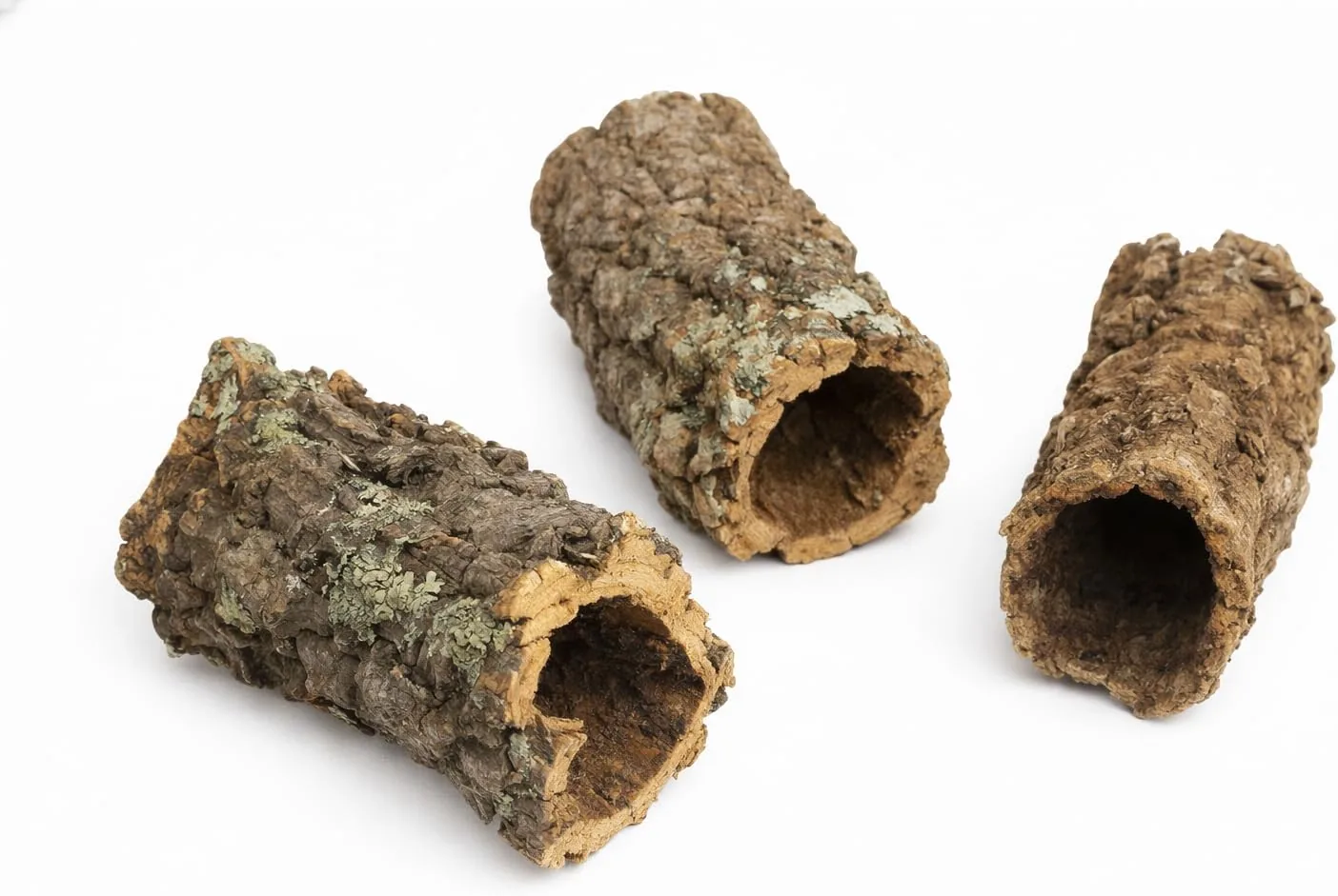 sphagnum-shop.com Terrarium