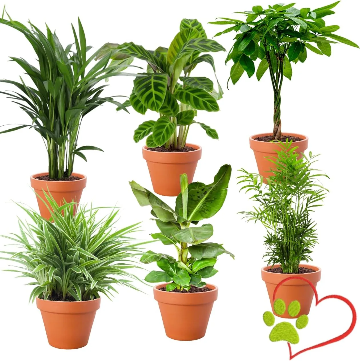 Pflanzen-Set “Tierfreund”, 6er-Set